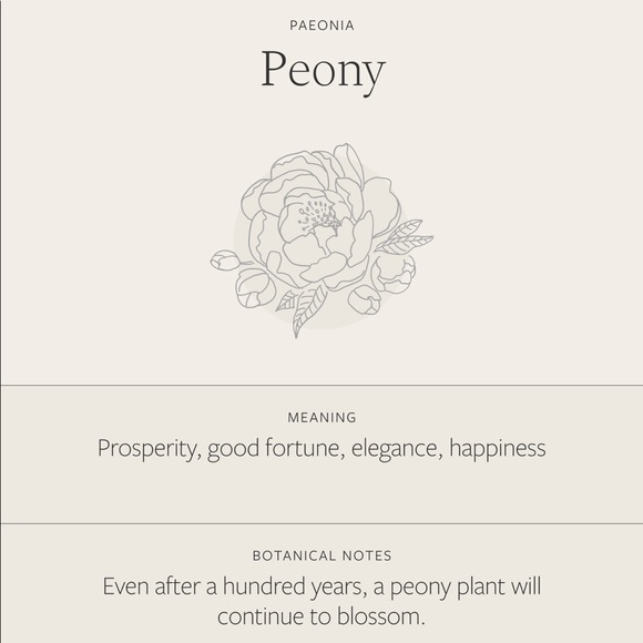 Peony November Birth Flower Engraved Boho Necklace - Picture 4 of 16